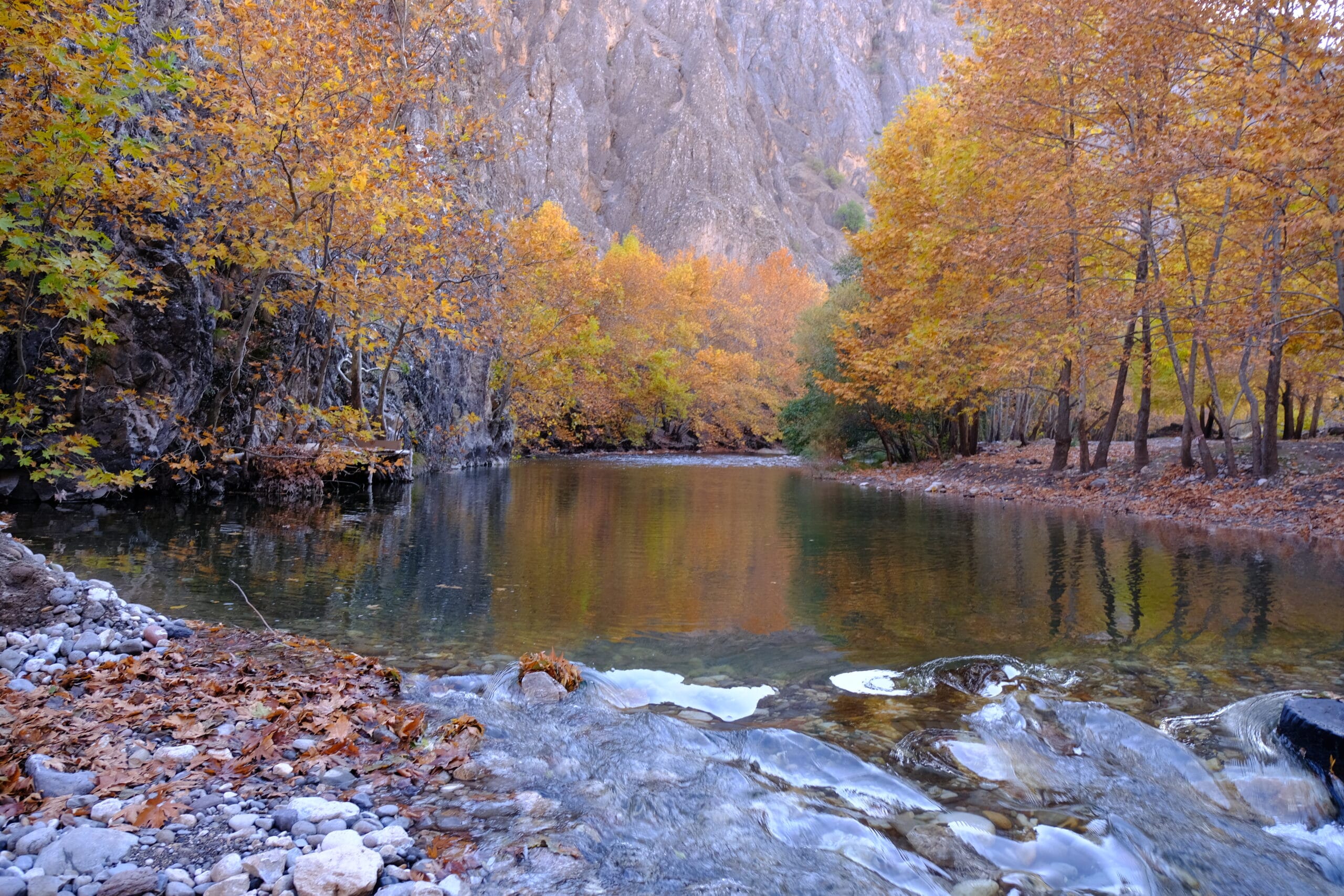 Arapgir Kamp Alanları